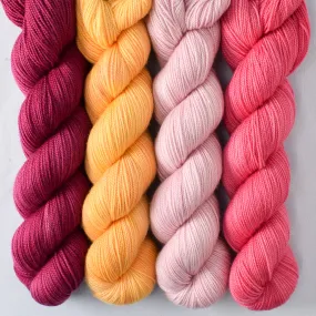 Aubergine, Coreopsis, Lotus, Sugar - Yummy 2-Ply Quartet
